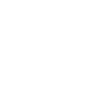 snorouzi1